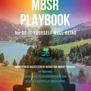 DIY Training in Stress Reduction